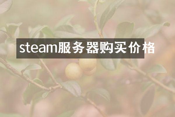 steam服务器购买价格