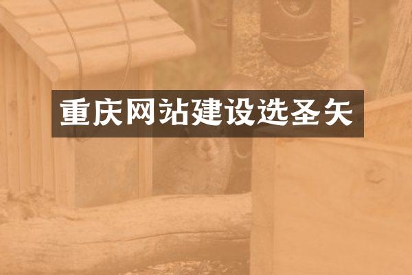 重庆网站建设选圣矢