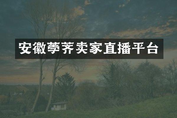 安徽荸荠卖家直播平台