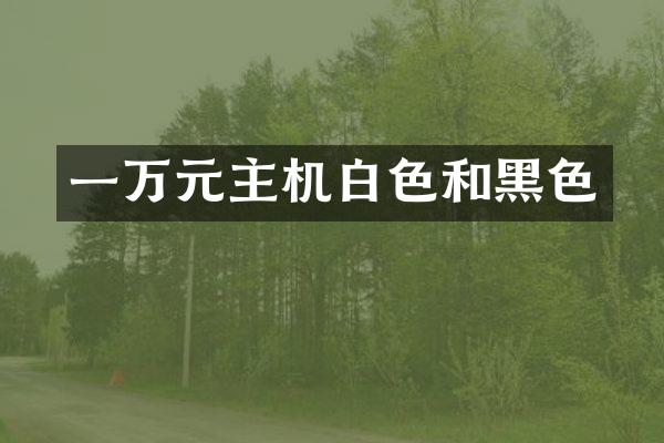 一万元主机白色和黑色
