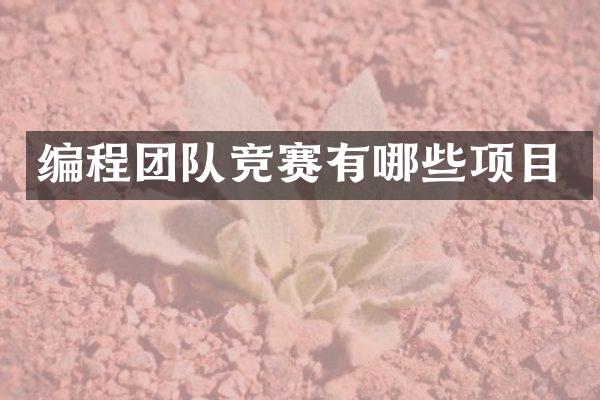 编程团队竞赛有哪些项目