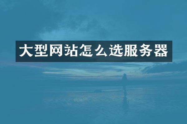 大型网站怎么选服务器