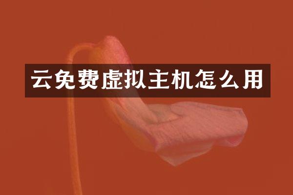 云免费虚拟主机怎么用