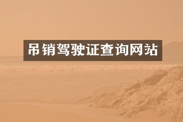 吊销驾驶证查询网站