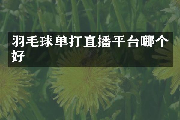 羽毛球单打直播平台哪个好