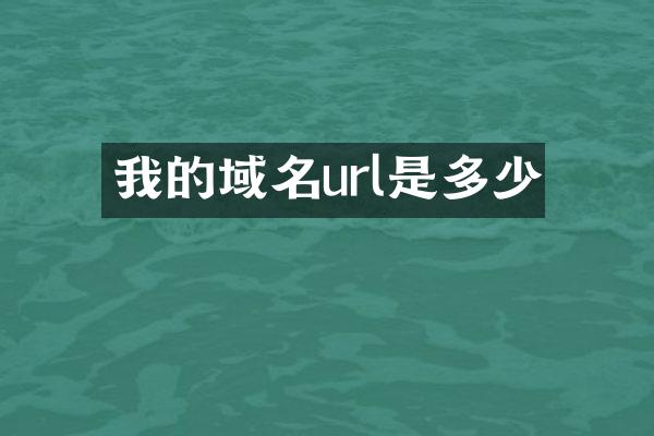 我的域名url是多少