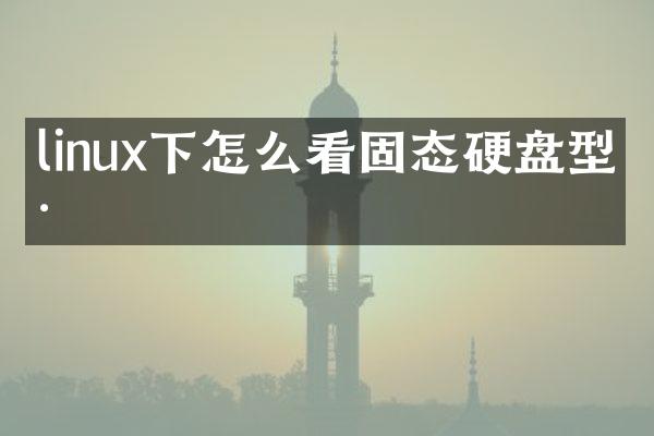 linux下怎么看固态硬盘型号