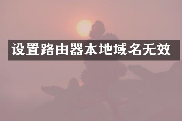 设置路由器本地域名无效