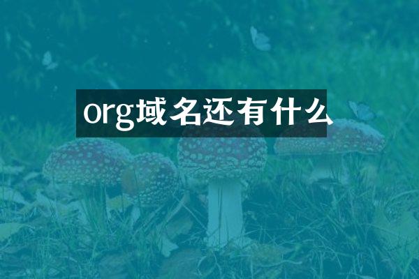 org域名还有什么
