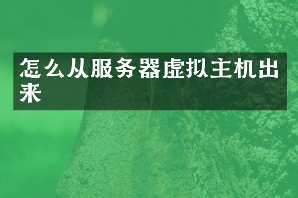 怎么从服务器虚拟主机出来