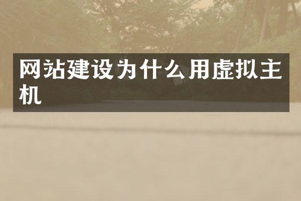 网站建设为什么用虚拟主机