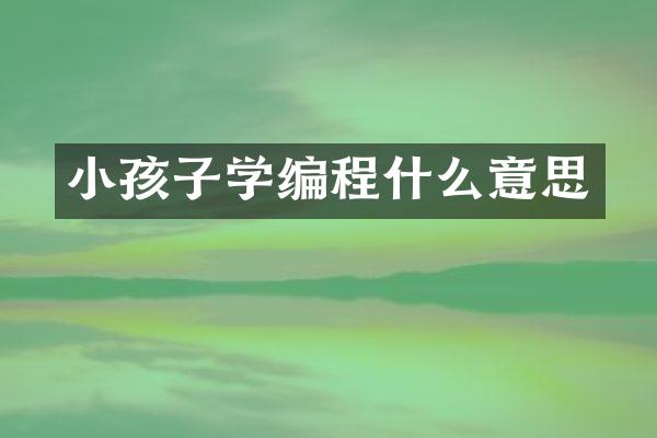 小孩子学编程什么意思