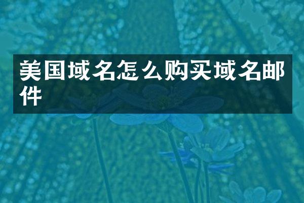 美国域名怎么购买域名邮件