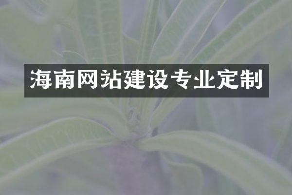 海南网站建设专业定制