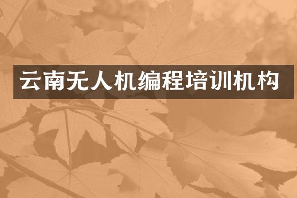 云南无人机编程培训机构