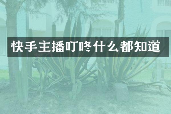 快手主播叮咚什么都知道