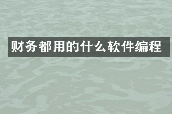 财务都用的什么软件编程