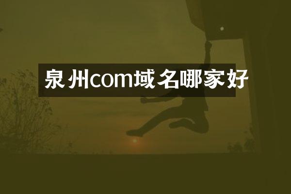 泉州com域名哪家好