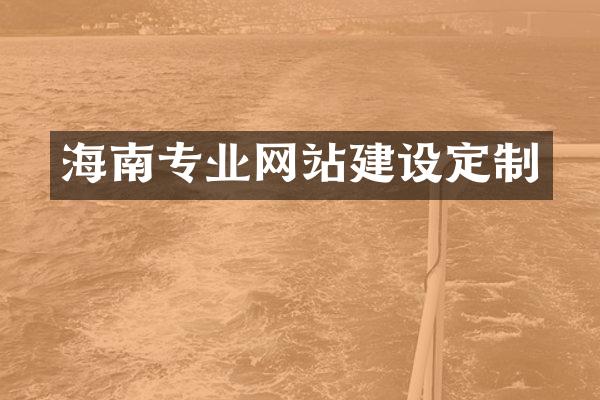 海南专业网站建设定制