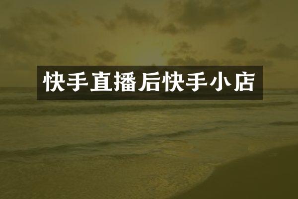 快手直播后快手小店