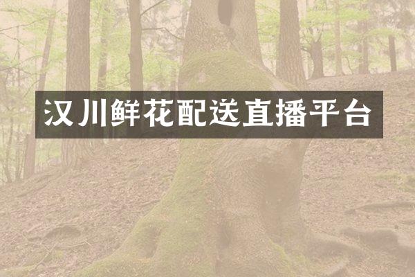 汉川鲜花配送直播平台