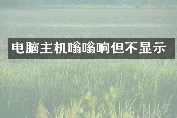 电脑主机嗡嗡响但不显示