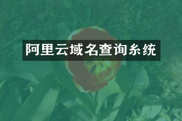 阿里云域名查询糸统