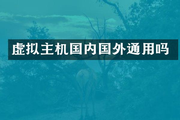 虚拟主机国内国外通用吗