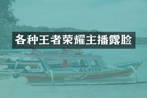 各种王者荣耀主播露脸