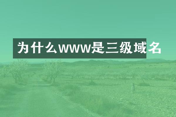 为什么www是三级域名