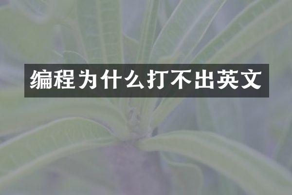 编程为什么打不出英文