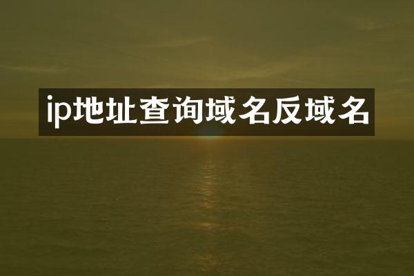 ip地址查询域名反域名