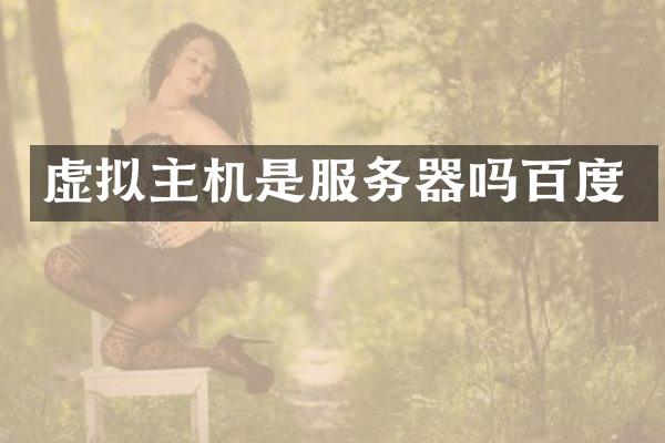 虚拟主机是服务器吗百度