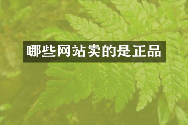 哪些网站卖的是正品