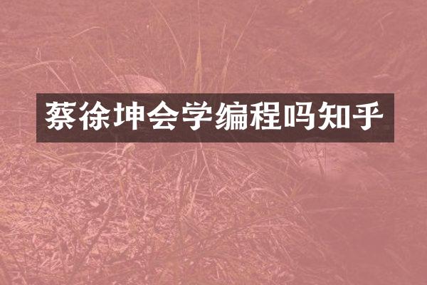 蔡徐坤会学编程吗知乎