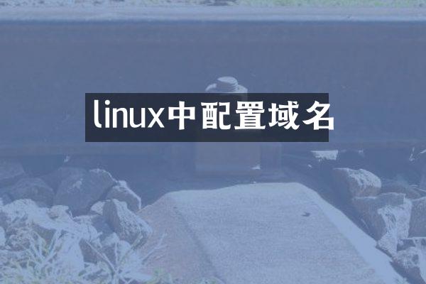 linux中配置域名