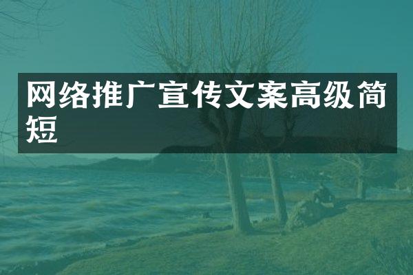 网络推广宣传文案高级简短