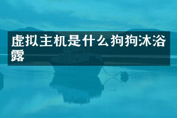 虚拟主机是什么狗狗沐浴露