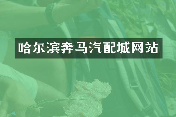 哈尔滨奔马汽配城网站