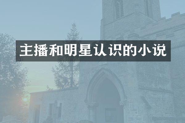 主播和明星认识的小说
