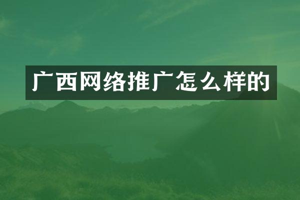 广西网络推广怎么样的