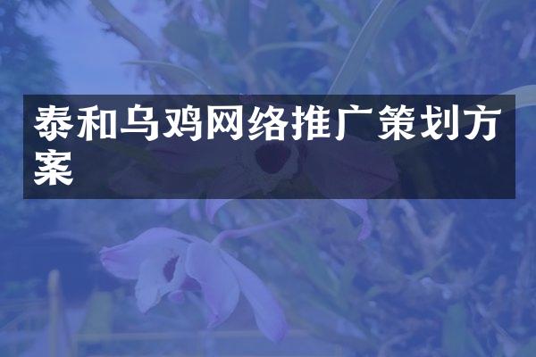 泰和乌鸡网络推广策划方案