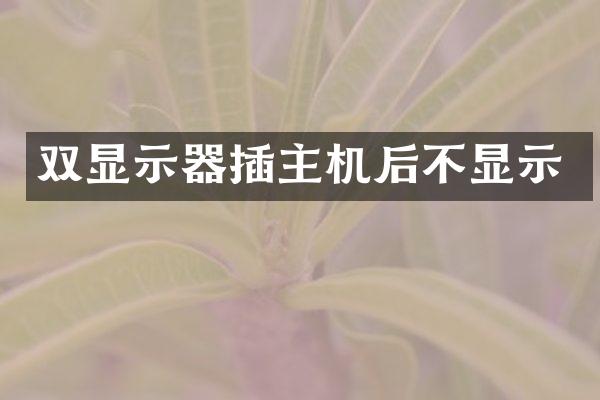 双显示器插主机后不显示