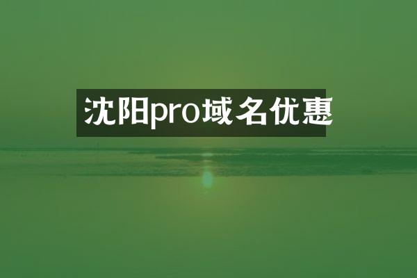 沈阳pro域名优惠