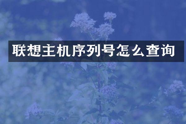 联想主机序列号怎么查询