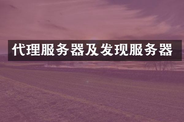 代理服务器及发现服务器