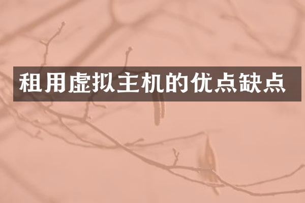 租用虚拟主机的优点缺点