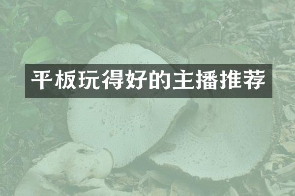 平板玩得好的主播推荐