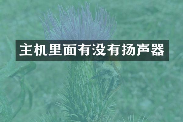 主机里面有没有扬声器