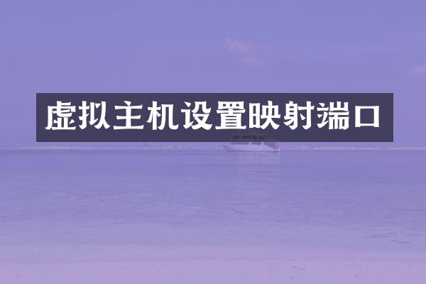 虚拟主机设置映射端口